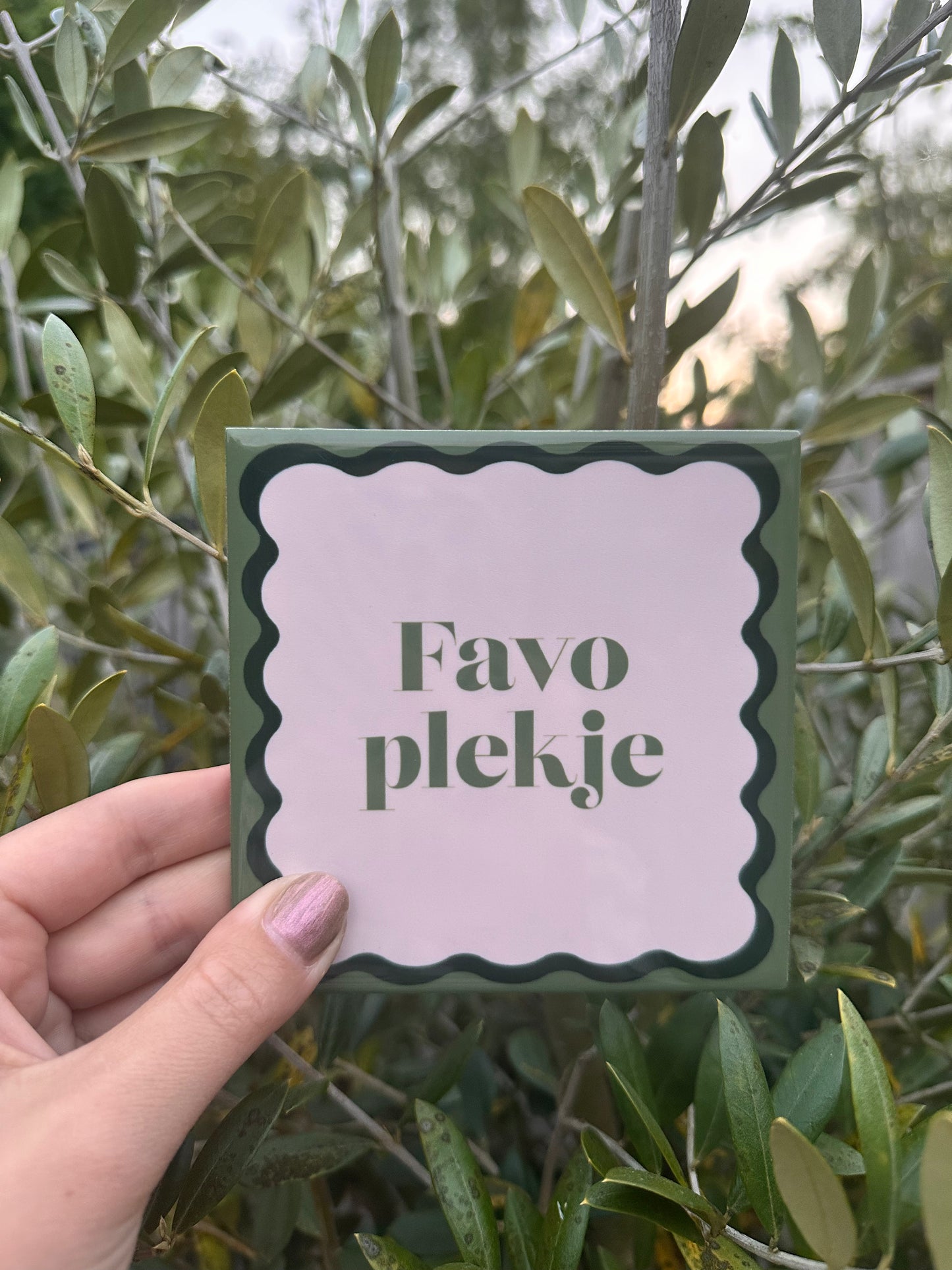 TEGELTJE | FAVO PLEKJE