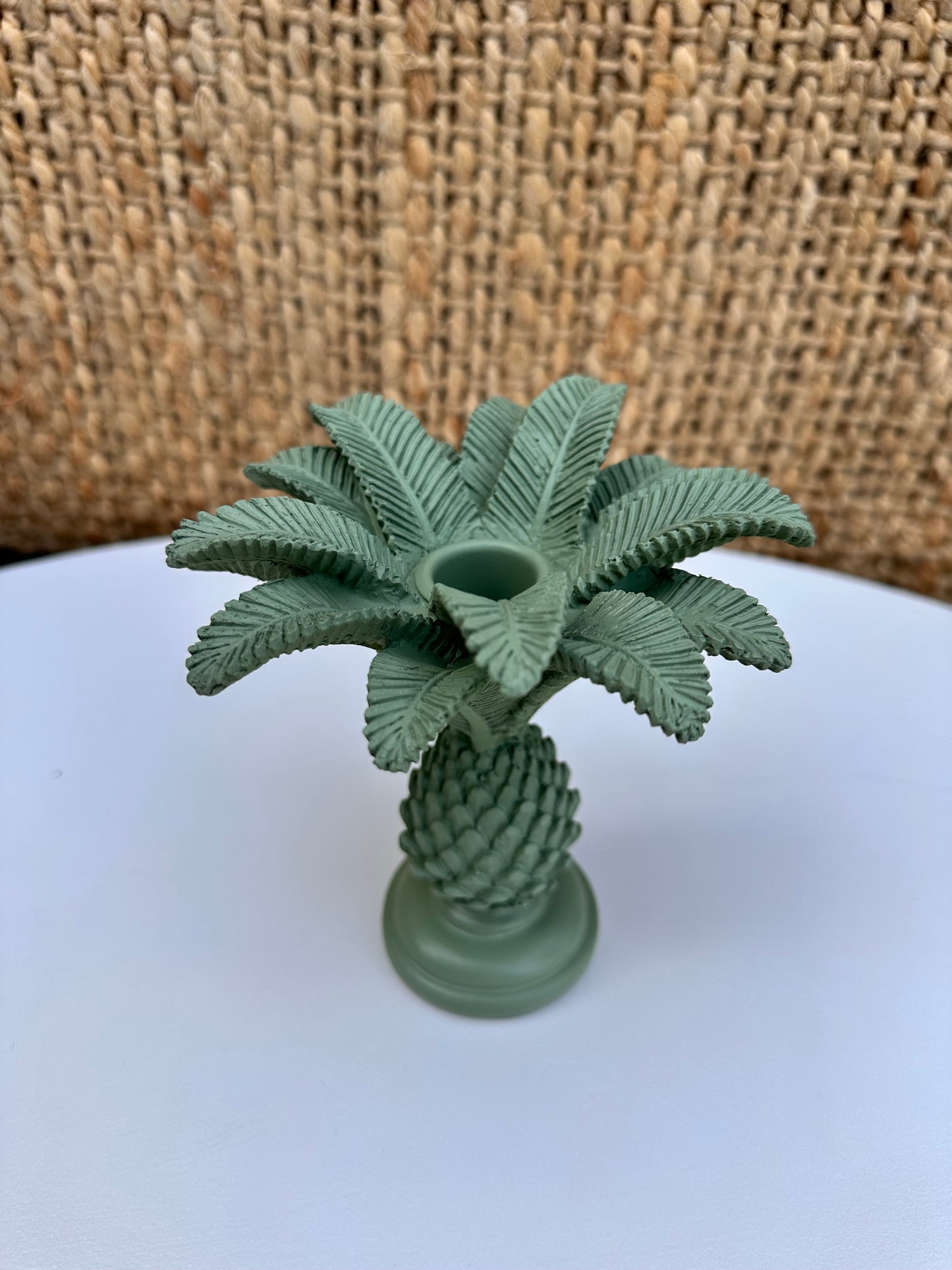 KAARSENHOUDER PALM TREE | GREEN